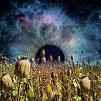 More Experience - Horizon of Events [Vinyl]