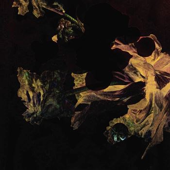 Den Der Hale - Larking About [Vinyl]