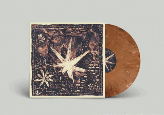Homecoming - Those We Knew [Vinyl]