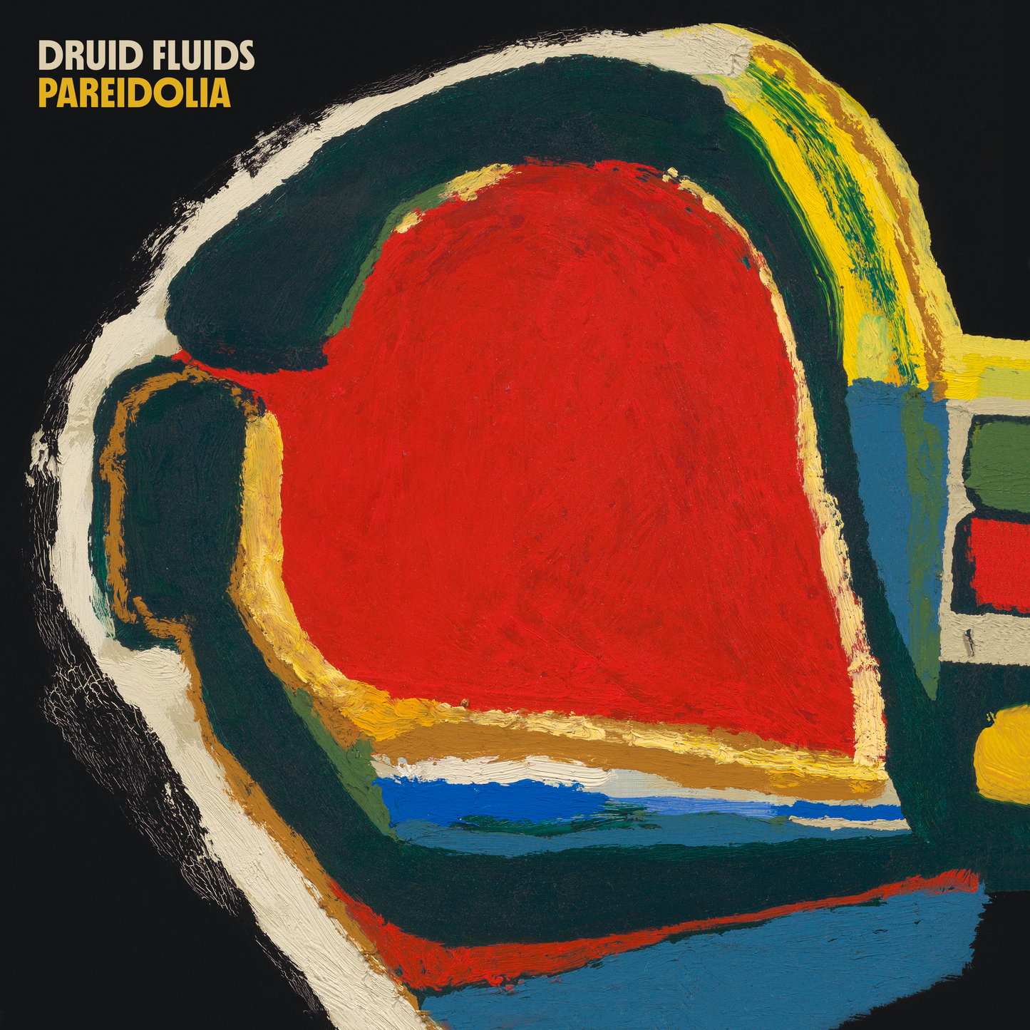 Druid Fluids - Pareidolia [Vinyl]