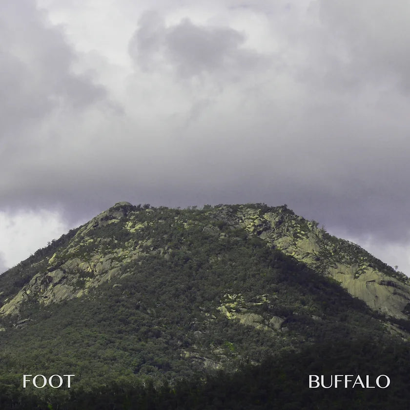 Foot - Buffalo [Vinyl]