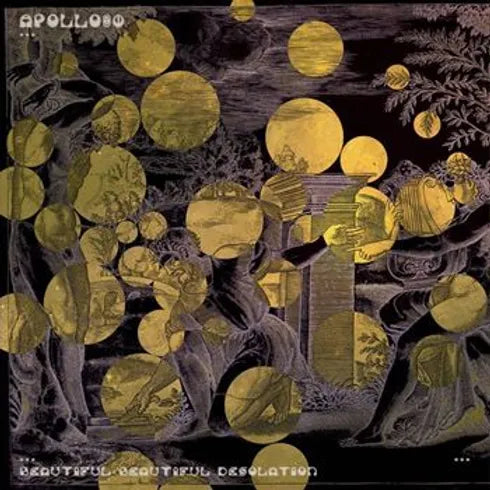 Apollo80 - Beautiful, Beautiful Desolation [Vinyl]