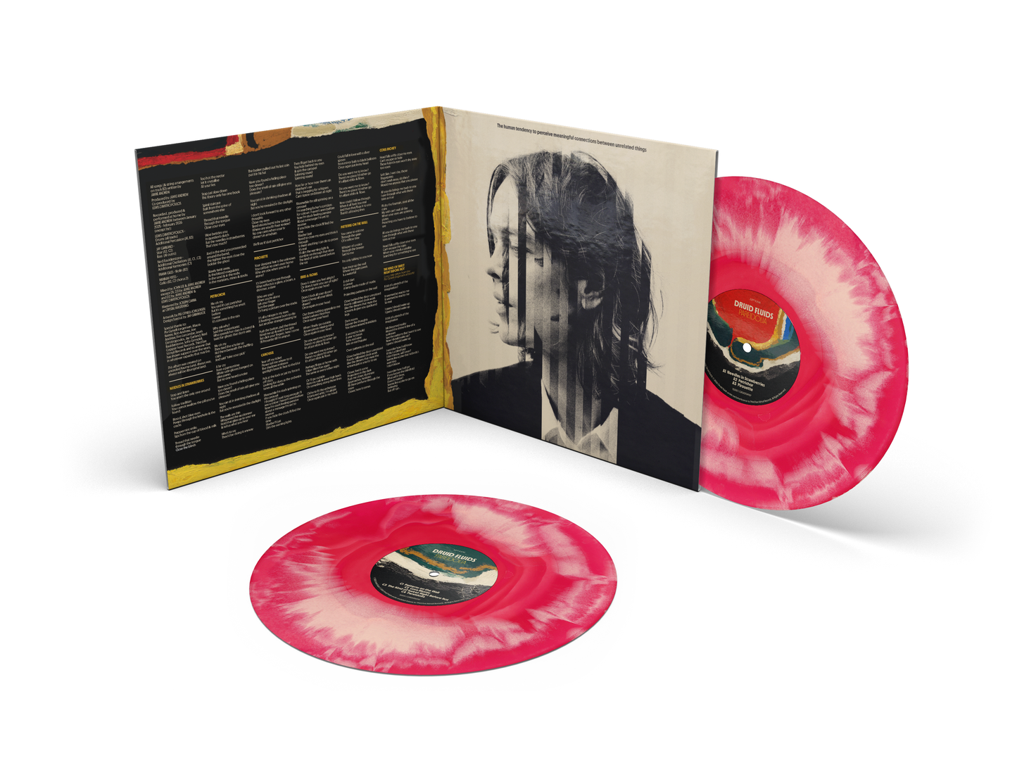 Druid Fluids - Pareidolia [Vinyl]