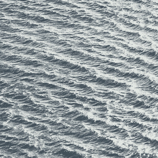 Astrodome - Seascapes [Vinyl]
