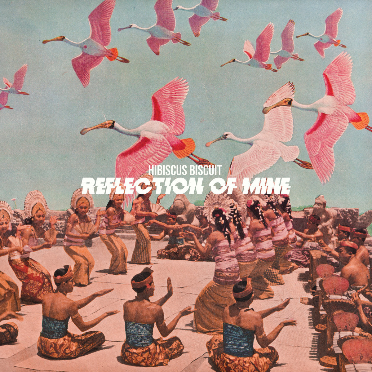 Hibiscus Biscuit - Reflection of Mine [Vinyl]
