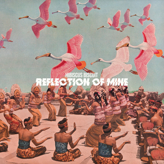 Hibiscus Biscuit - Reflection of Mine [Vinyl]