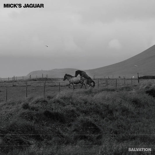 Mick's Jaguar - Salvation [Vinyl]